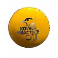Kookaburra Practice Cricket Ball 156g